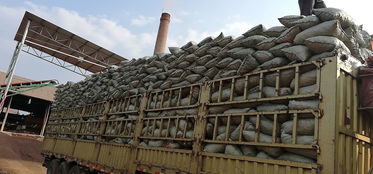 三明方陶粒供應廠家 優質化工產品的可靠選擇